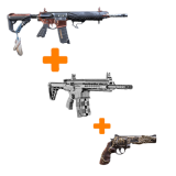 All Raid Weapons Bundle