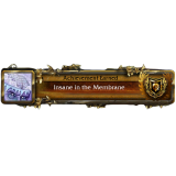 Insane in the Membrane Achievement - WotLK