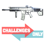 Platinum Camo Challenges Boost