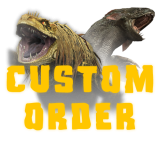 Custom Boosting Service